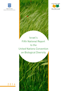 Israel`s Fifth National Report to the United Nations Convention on