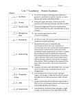 Unit 7 Vocabulary _ Protein Synthesis