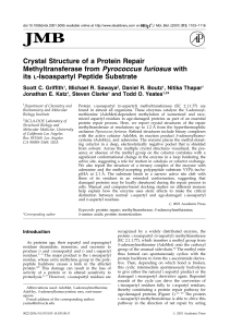Crystal Structure of a Protein Repair Methyltransferase from