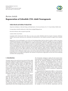 Review Article Regeneration of Zebrafish CNS