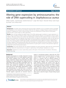 Altering gene expression by aminocoumarins: the role of DNA