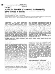 Molecular evolution of the major chemosensory gene families in