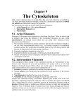 The Cytoskeleton - Dr. Salah A. Martin