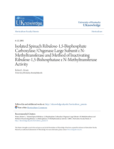 Isolated Spinach Ribulose-1,5-Bisphosphate