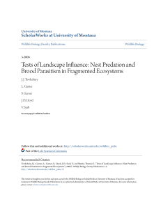 Nest Predation and Brood Parasitism in Fragmented Ecosystems