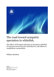The road toward sympatric speciation in whitefish.