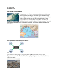 1st Orientation Pre- ESS Analysis How Tsunami`s affect our world