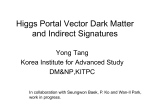 Higgs Portal VDM and Indirect Signature