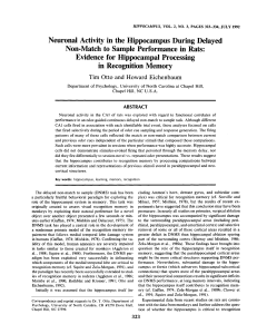 Neuronal Activity in the Hippocampus During Delayed Non