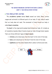 THE CIRCULATORY SYSTEM THE CIRCULATORY SYSTEM The