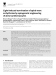 Light-induced termination of spiral wave arrhythmias by optogenetic