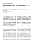 Arterial-venous endothelial plasticity