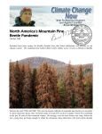 North America`s Mountain Pine Beetle Pandemic