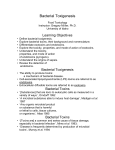 Bacterial Toxigenesis