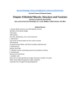 Chapter 8 Skeletal Muscle: Structure and Function