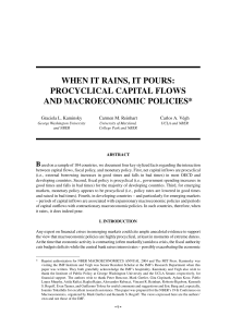 WHEN IT RAINS, IT POURS: PROCYCLICAL CAPITAL FLOWS AND