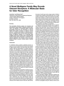 A Novel Multigene Family May Encode Odorant Receptors: A