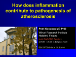How does inflammation contribute to pathogenesis of atherosclerosis.