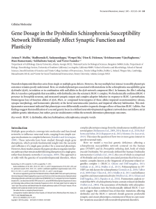 Gene Dosage in the Dysbindin Schizophrenia Susceptibility