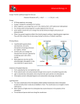 Photosynthesis and Cellular Respiration