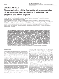 Characterization of the first cultured representative of