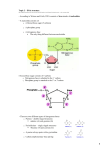 Topic 2 – DNA structure According to Watson and Crick, DNA