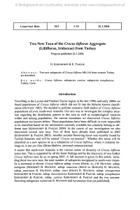 Two New Taxa of the Crocus bißorus Aggregate