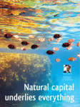 Natural capital underlies everything