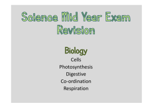 Biology Mid Year Exam Revision