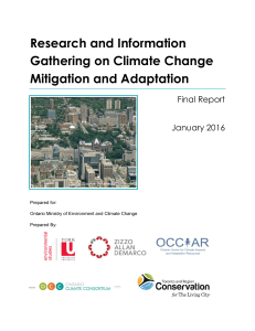 Research and Information Gathering on Climate Change Mitigation