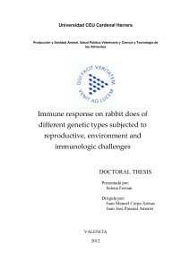 Immune response on rabbit does of different genetic