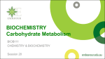 BIOCHEMISTRY Carbohydrate Metabolism