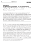 Sex-determining chromosomes and sexual dimorphism