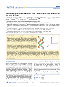 Modeling Spatial Correlation of DNA Deformation