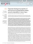 Opposite rheological properties of neuronal microcompartments