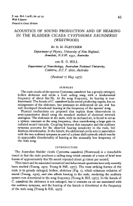 acoustics of sound production and of hearing in the bladder cicada