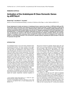 Activation of the Arabidopsis B Class Homeotic