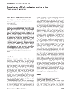 Organization of DNA replication origins in the fission yeast genome