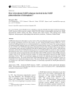 How is ferredoxin-NADP reductase involved in