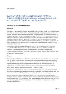 Risk-management-plan summary
