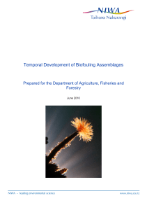 Temporal Development of Biofouling Assemblages