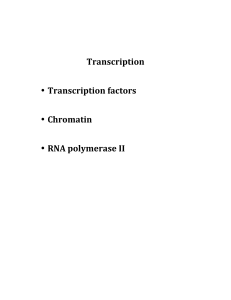 Transcription • Transcription factors • Chromatin • RNA polymerase II