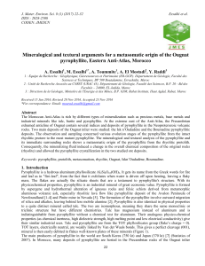 Mineralogical and textural arguments for a metasomatic origin of the