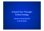 A Quick Tour Through: Endocrinology