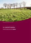 21. Lowland meadow - Natural England publications