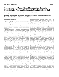 Supplement to: Modulation of Intracortical Synaptic Potentials by