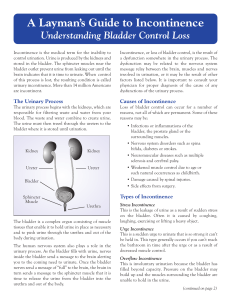 A Layman`s Guide to Incontinence Understanding Bladder Control