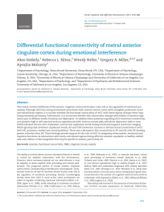 Differential functional connectivity of rostral