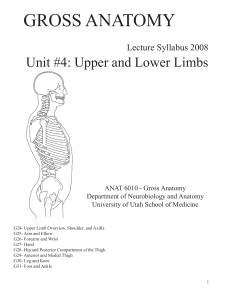 Unit 04 Lecture Syllabus