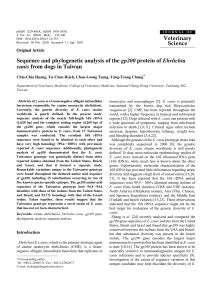 Sequence and phylogenetic analysis of the gp200 protein of